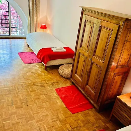 Magnificent Duplex In A Former Palace * Chamonix